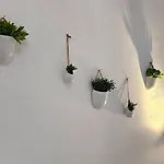게스트하우스 Mykonos4islands Seaside And 칼로 리바디