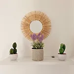 Mykonos4islands Seaside And 4* Kalo Livadi